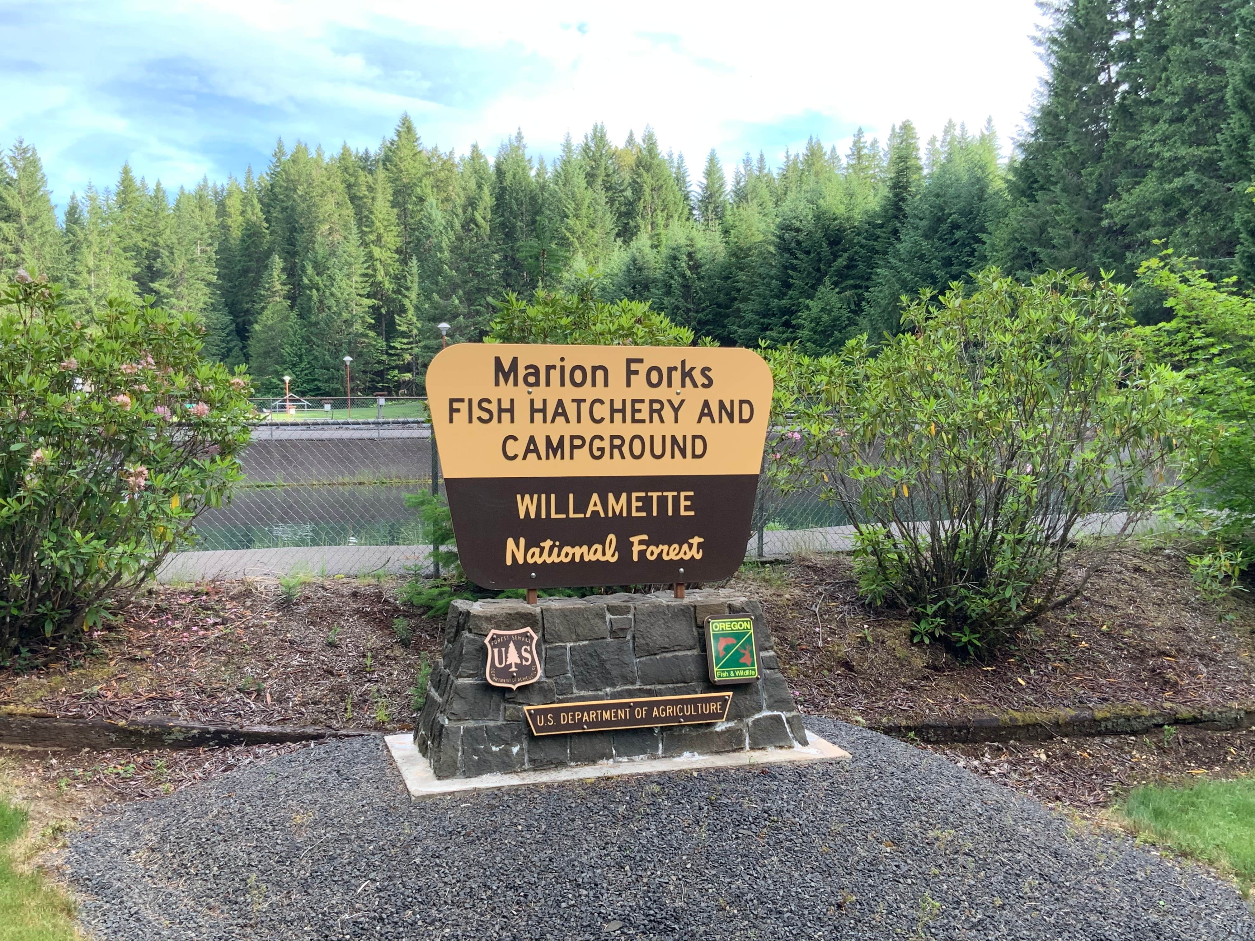 Marion Forks Campground The Dyrt