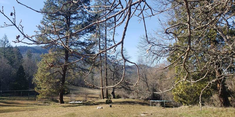 Camper submitted image from Sanctuary on the River