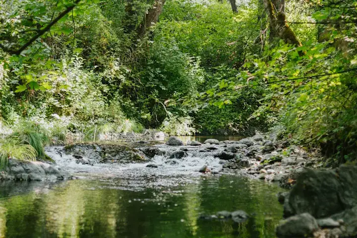 Camper-submitted photo at Sanctuary on the River near White City, OR