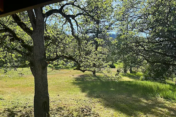 Camper-submitted photo at Sanctuary on the River near White City, OR