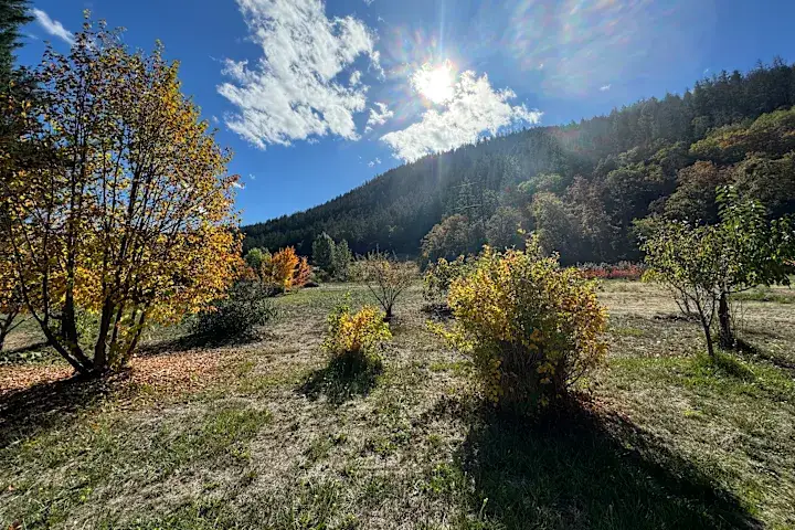 Camper-submitted photo at Sanctuary on the River near White City, OR