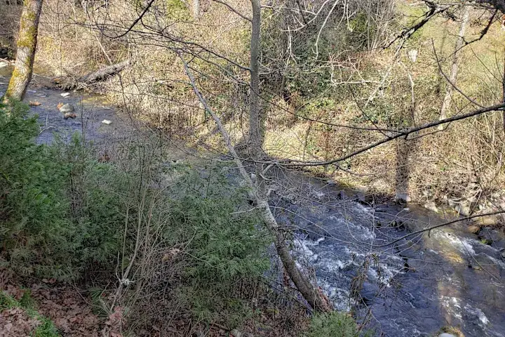 Camper-submitted photo at Sanctuary on the River near White City, OR