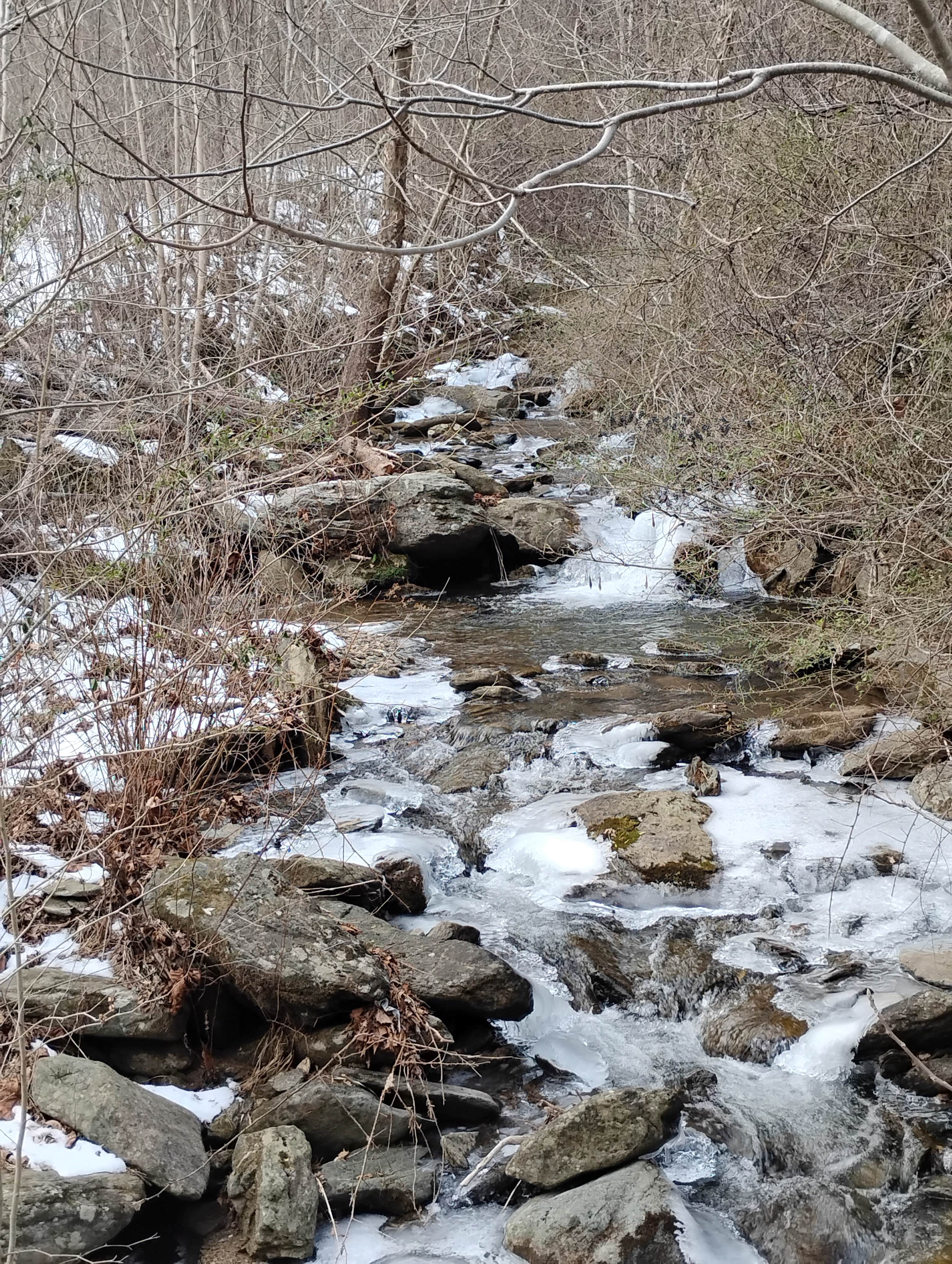 Camper-submitted photo at Squirrel Creek Farm near Rocky Mount, VA