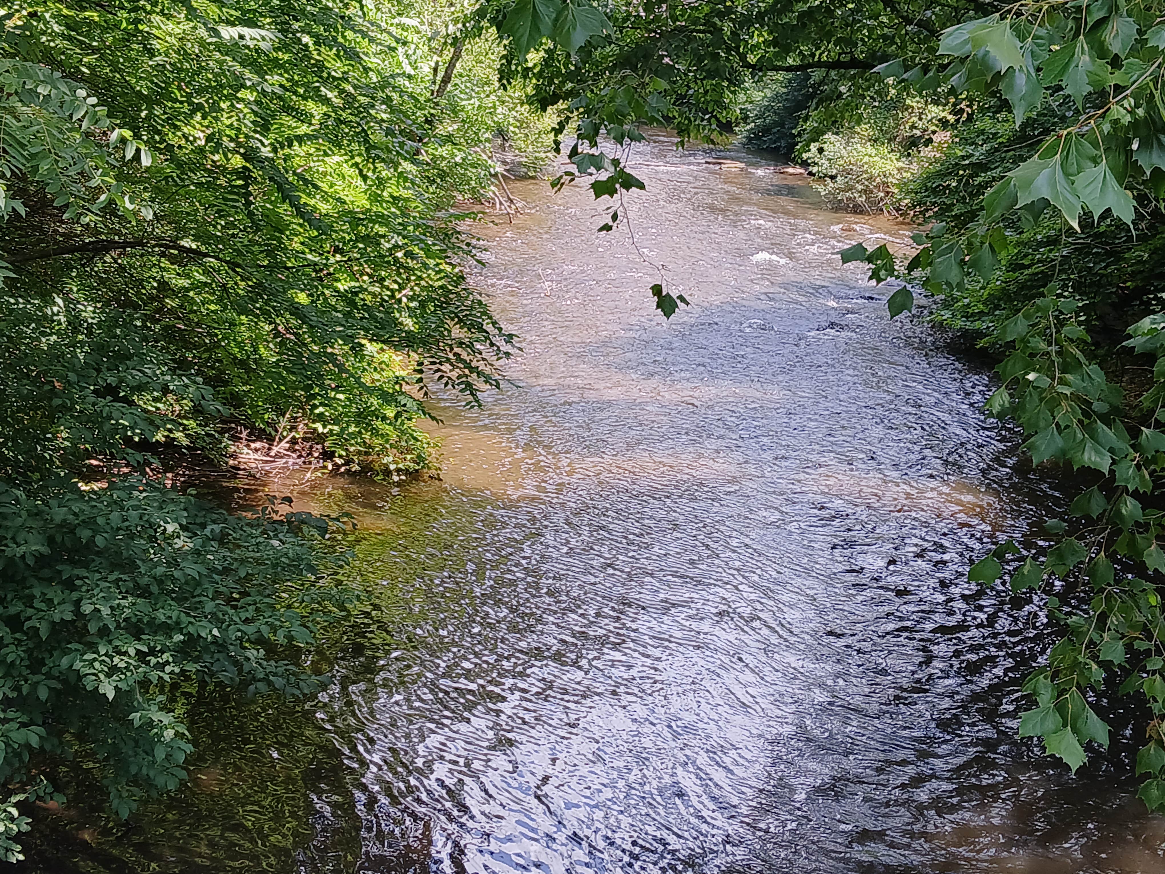 Camper-submitted photo at Squirrel Creek Farm near Rocky Mount, VA