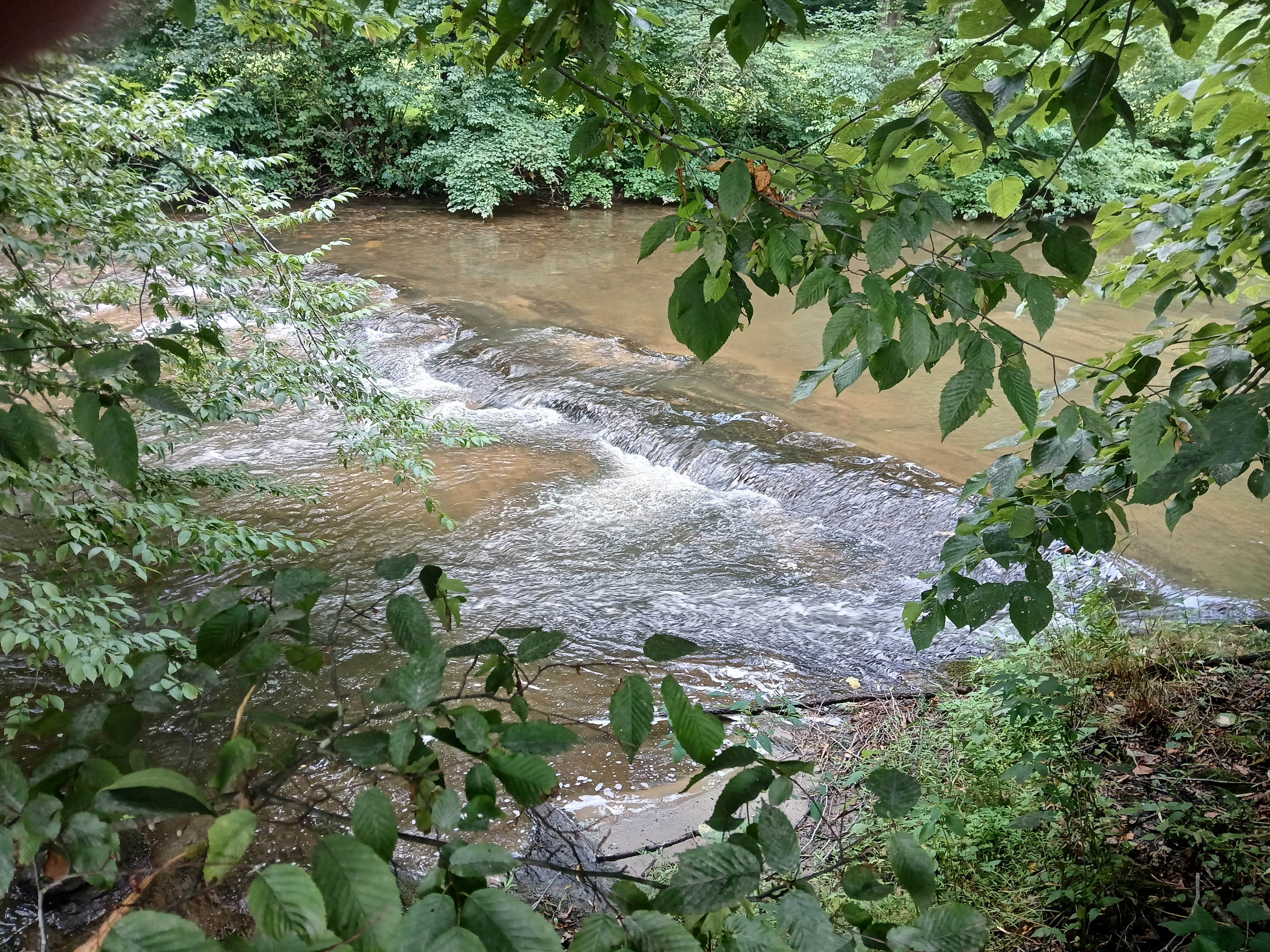 Camper-submitted photo at Squirrel Creek Farm near Rocky Mount, VA