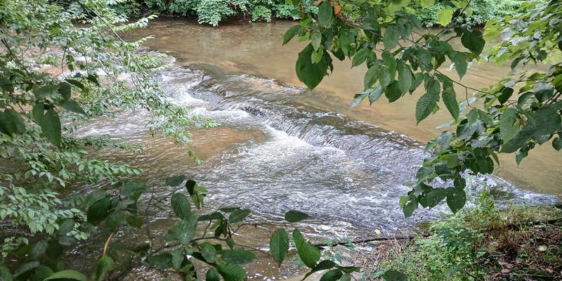 Camper submitted image from Squirrel Creek Farm