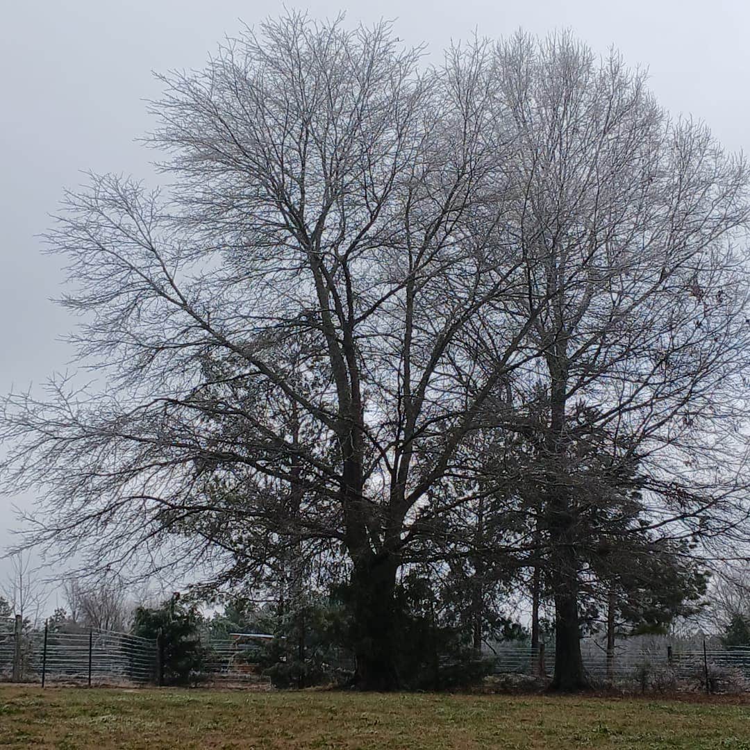 Camper-submitted photo at Eden in Lancaster SC near Rock Hill, SC