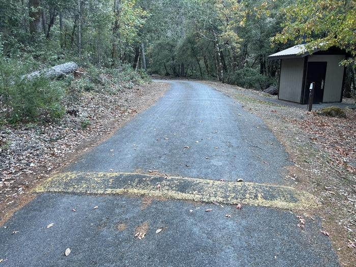 Camper submitted image from Dillon Creek Campground - 1
