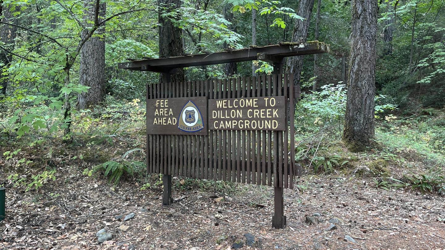 Camper submitted image from Dillon Creek Campground - 2