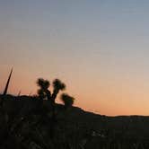 Review photo of Black Rock Campground — Joshua Tree National Park by Ryan W., February 6, 2025