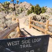 Review photo of Black Rock Campground — Joshua Tree National Park by Ryan W., February 6, 2025