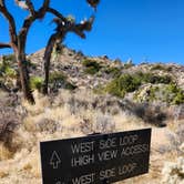 Review photo of Black Rock Campground — Joshua Tree National Park by Ryan W., February 6, 2025