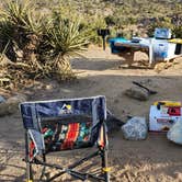 Review photo of Black Rock Campground — Joshua Tree National Park by Ryan W., February 6, 2025