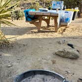 Review photo of Black Rock Campground — Joshua Tree National Park by Ryan W., February 6, 2025