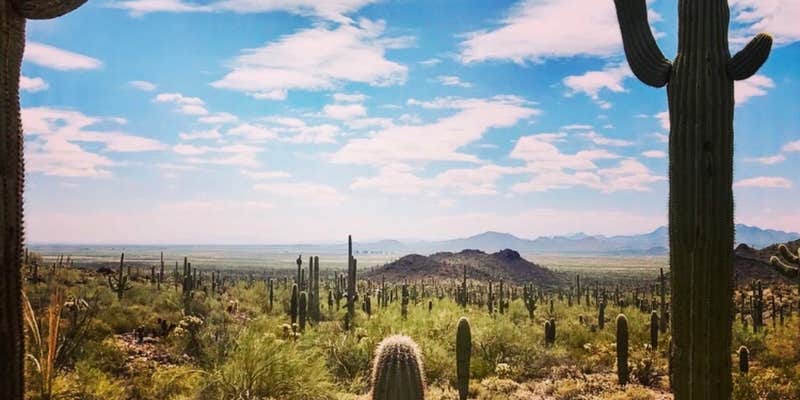 Camper submitted image from Wild West RV Ranch