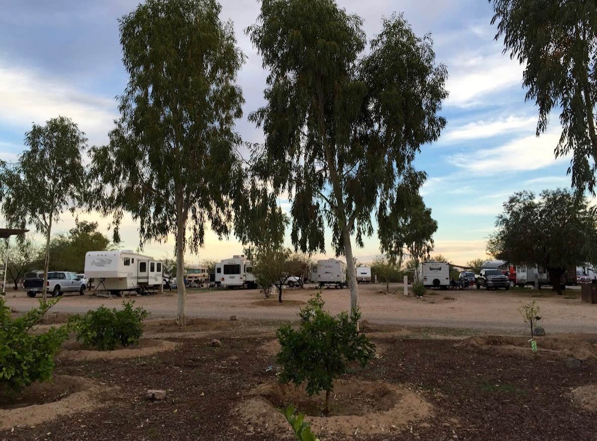 D W.'s photo of rv camping at Wild West RV Ranch near Maricopa, AZ
