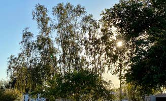 D W.'s photo of camping with pets at Wild West RV Ranch near Arizona City, AZ