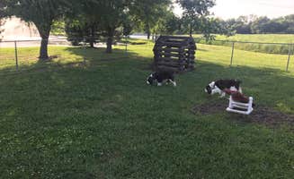 Joel R.'s photo of camping with pets at Topeka / Capital City KOA in Kansas