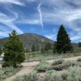 Review photo of Inyo National Forest Oh Ridge Campground by Jon K., July 3, 2019