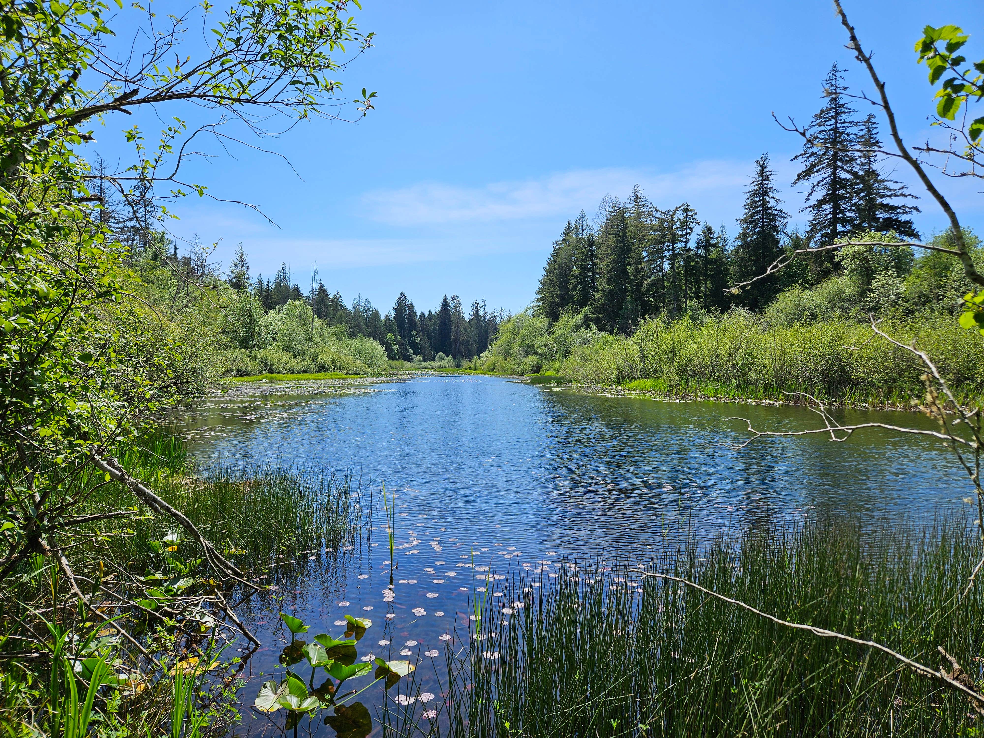 Camper-submitted photo at Olympic Gateway Cottage and RV Site near Wauna, WA