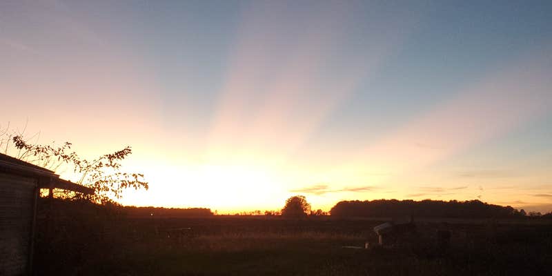 Camper submitted image from Resting Roost