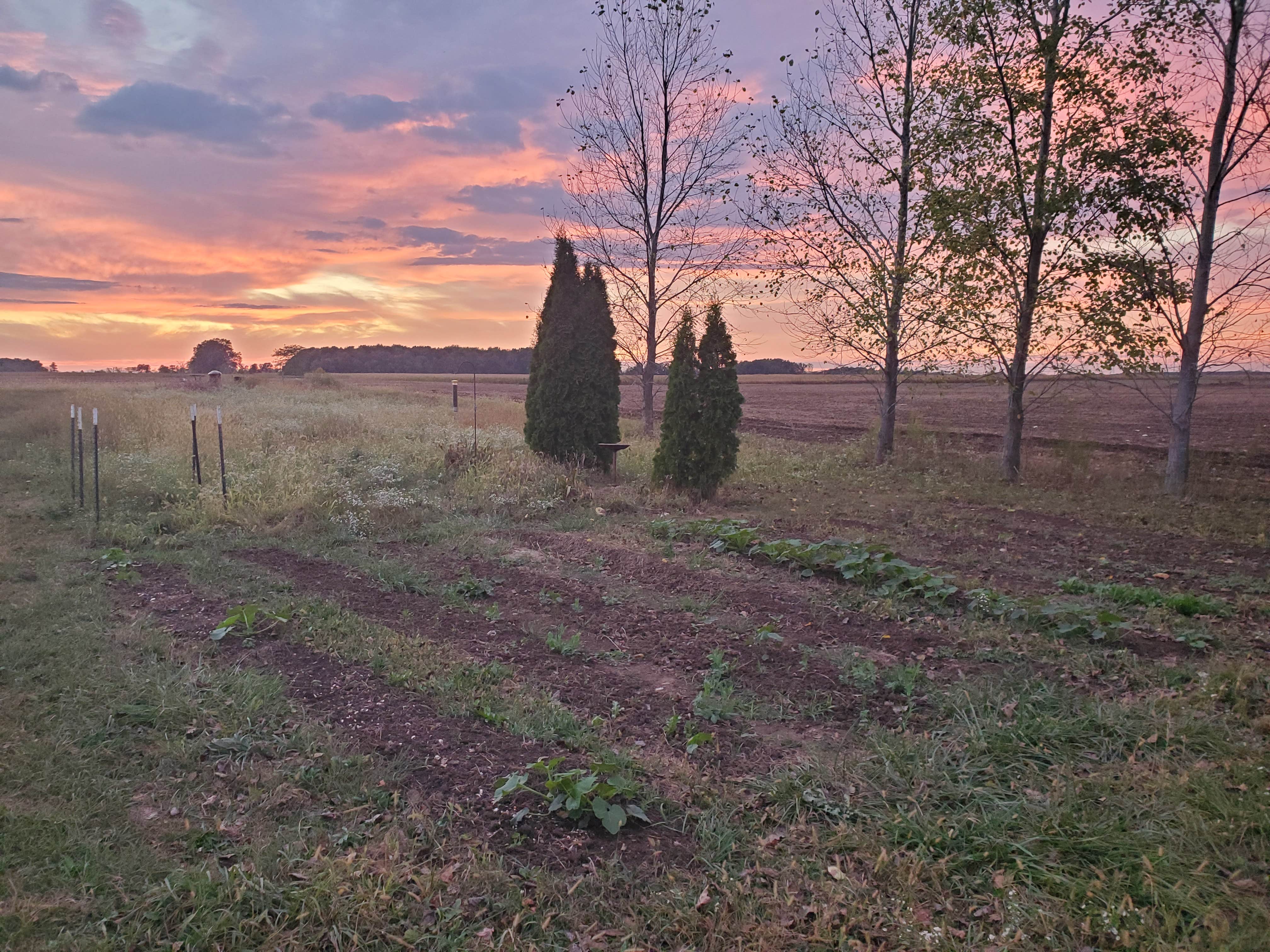 Camper-submitted photo at Resting Roost near Lakeview, OH