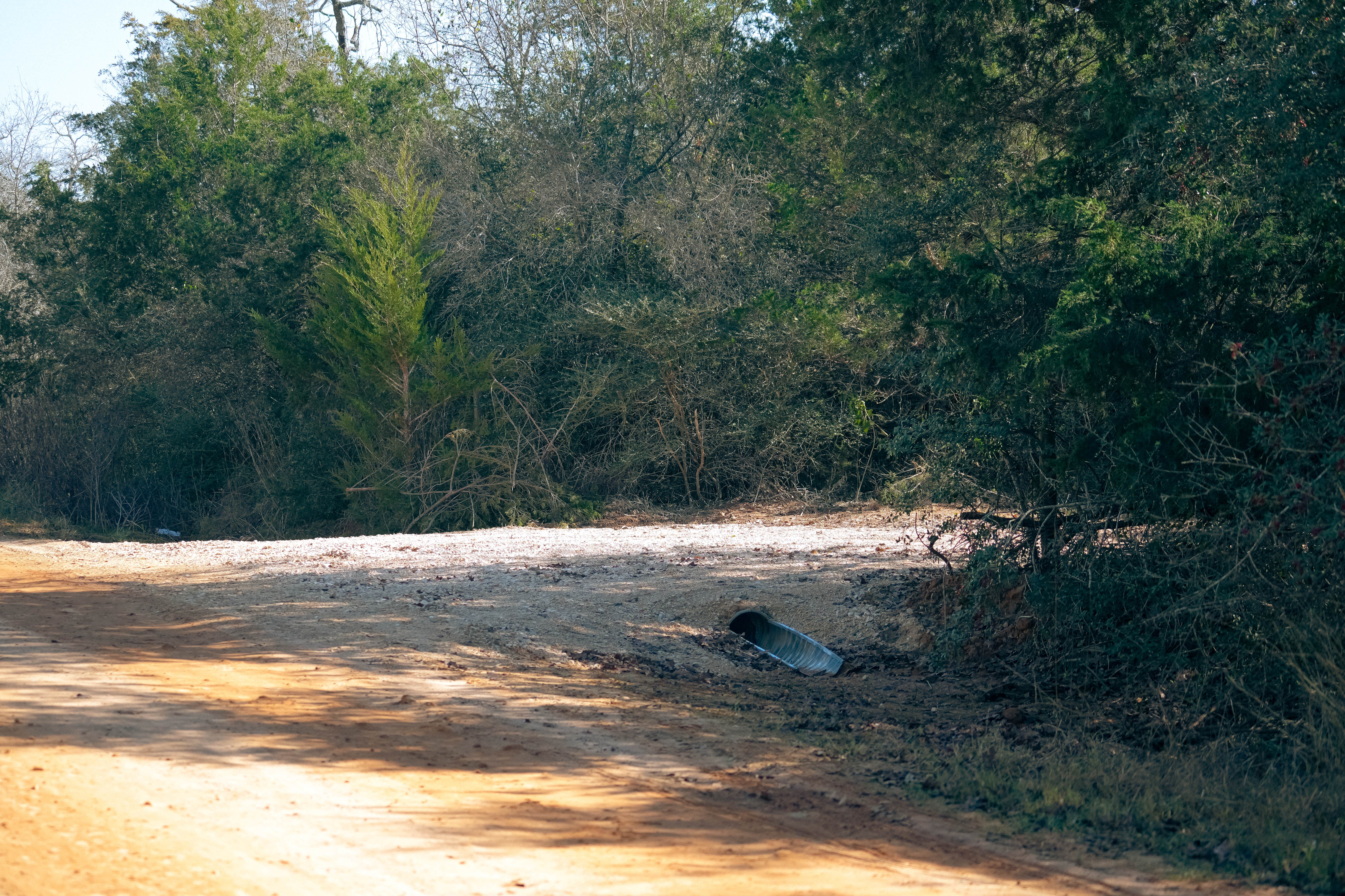 Camper submitted image from Enchanted Oaks Campground - 2