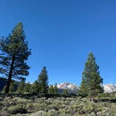 Review photo of Inyo National Forest Oh Ridge Campground by Jon K., July 3, 2019