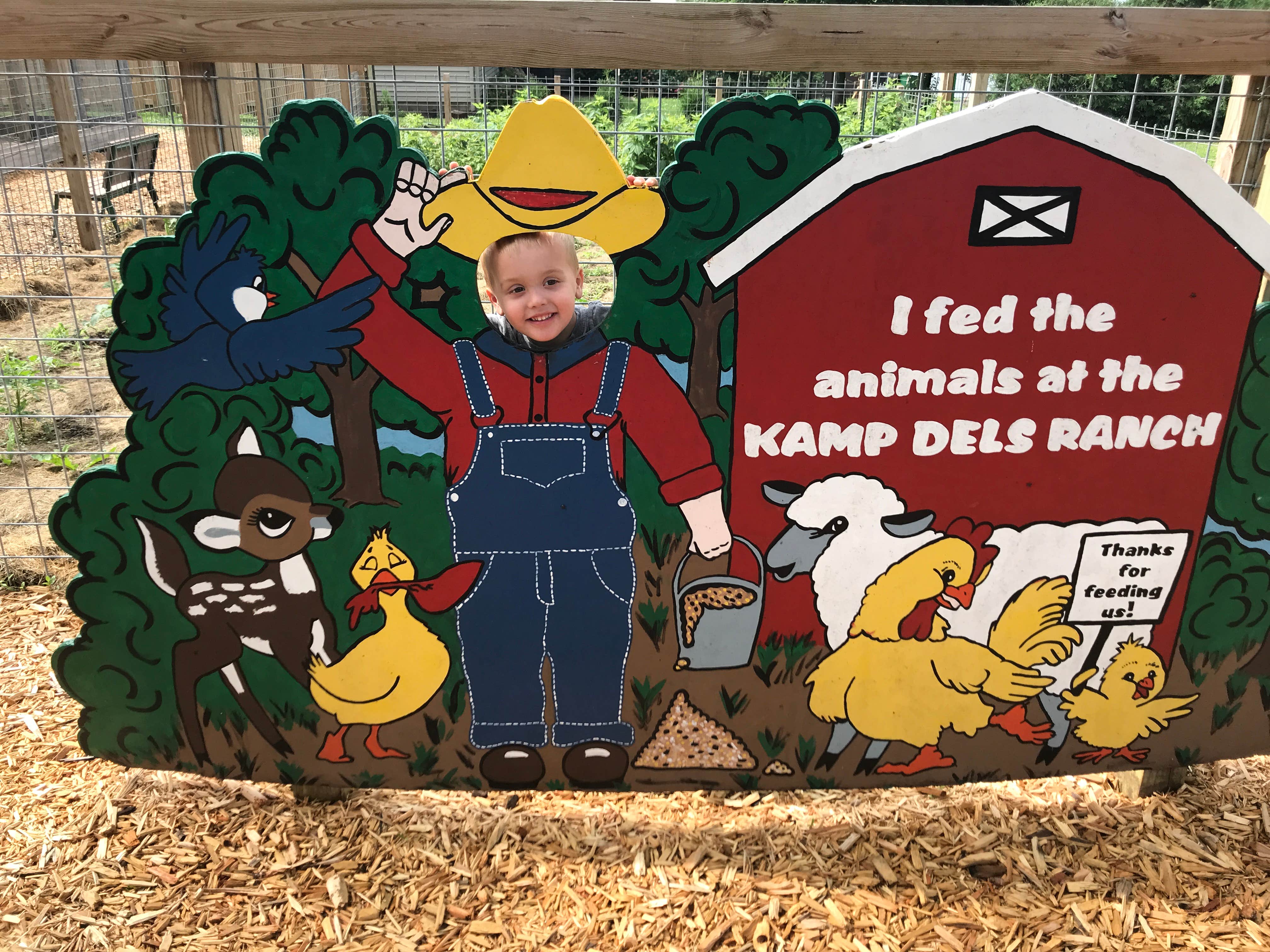 Camper-submitted photo at Kamp Dels near Faribault, MN