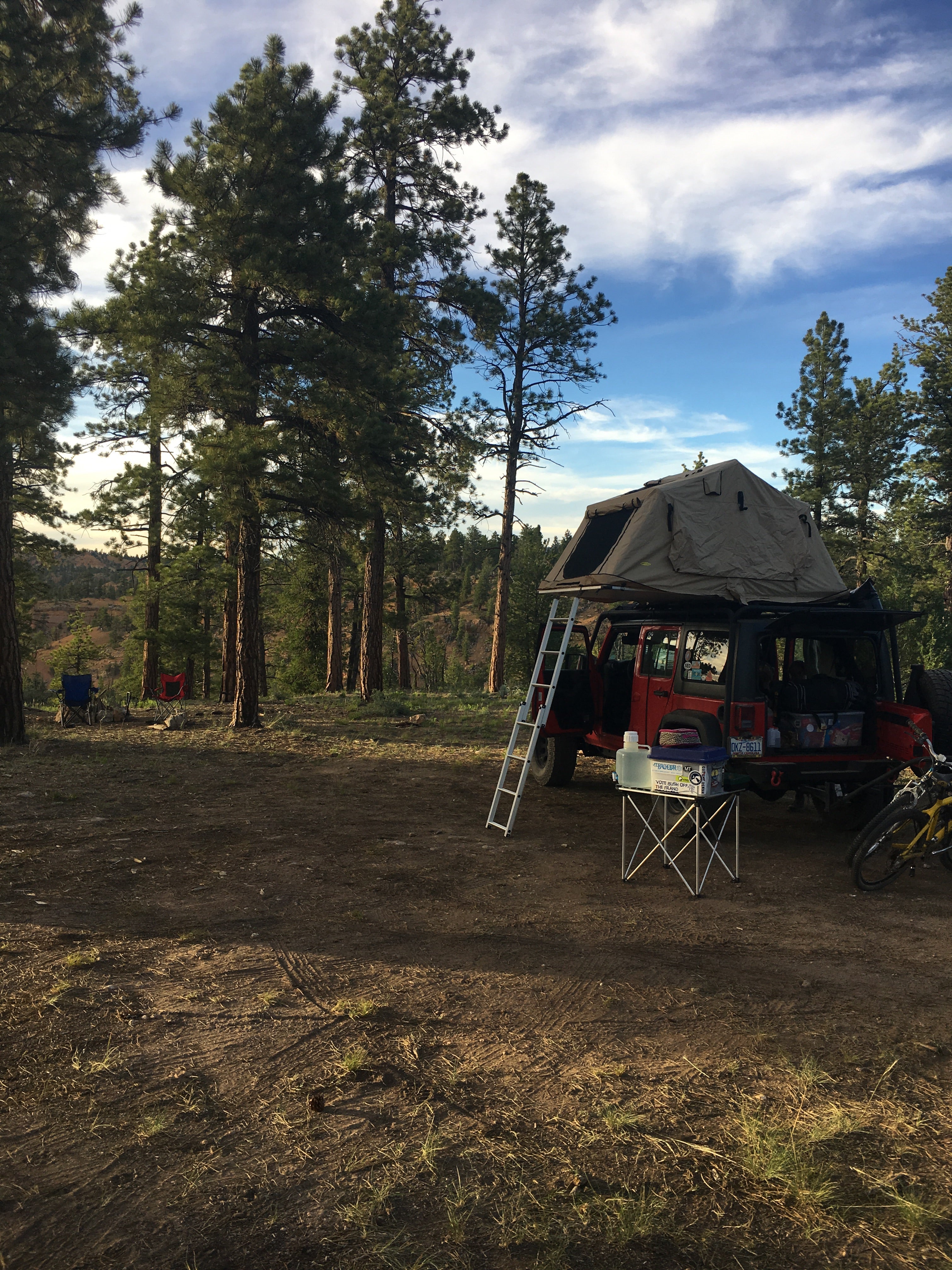 Camper submitted image from FS #117 Rd Dispersed Camping - 3