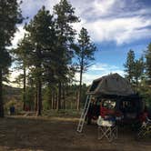 Review photo of FS #117 Rd Dispersed Camping by Wayne R., July 3, 2019