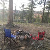 Review photo of FS #117 Rd Dispersed Camping by Wayne R., July 3, 2019