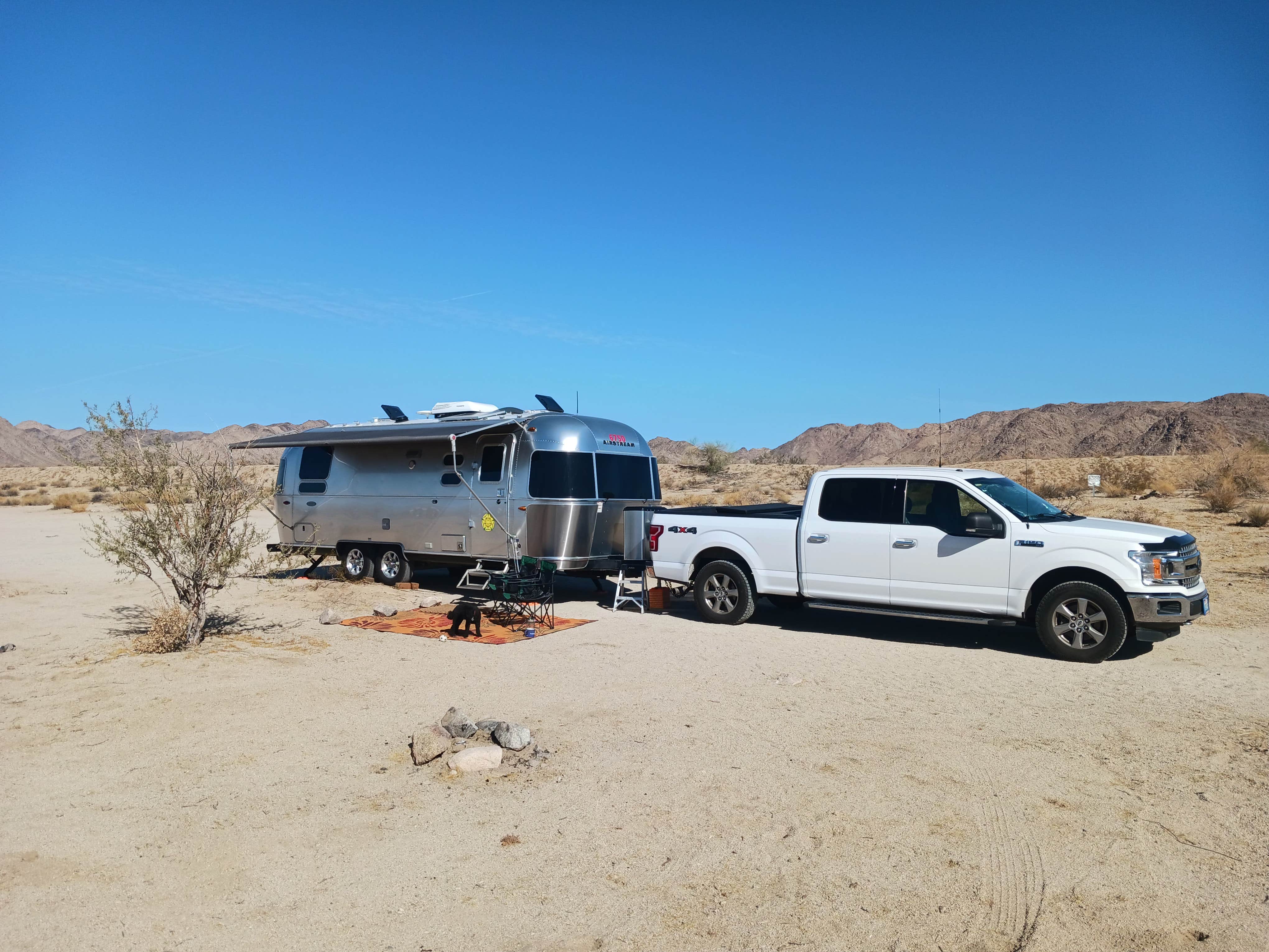 david M.'s photo of camping with pets at Joshua Tree South Dispersed Camping near Niland, CA