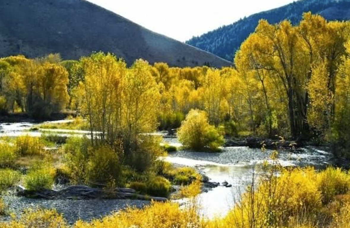 Camping near Yellowstone Golf Resort at Aspen Acres RV Park: Conant Creek Treasure #2, Felt, Idaho
