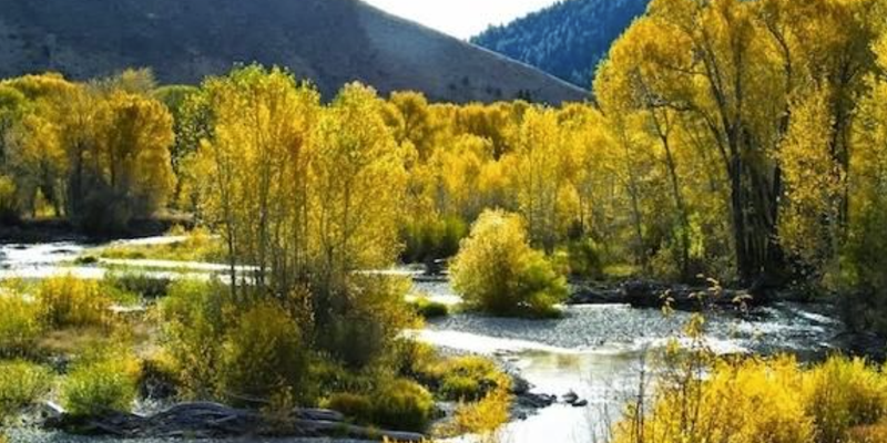 Camper submitted image from Conant Creek Treasure #2