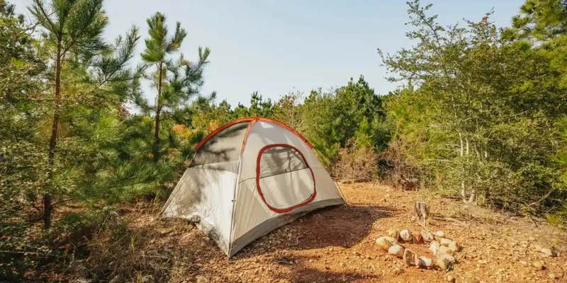 Camper submitted image from Lost Pines Camping