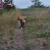 Review photo of Daisy Farm Campground — Isle Royale National Park by Tori K., February 9, 2025