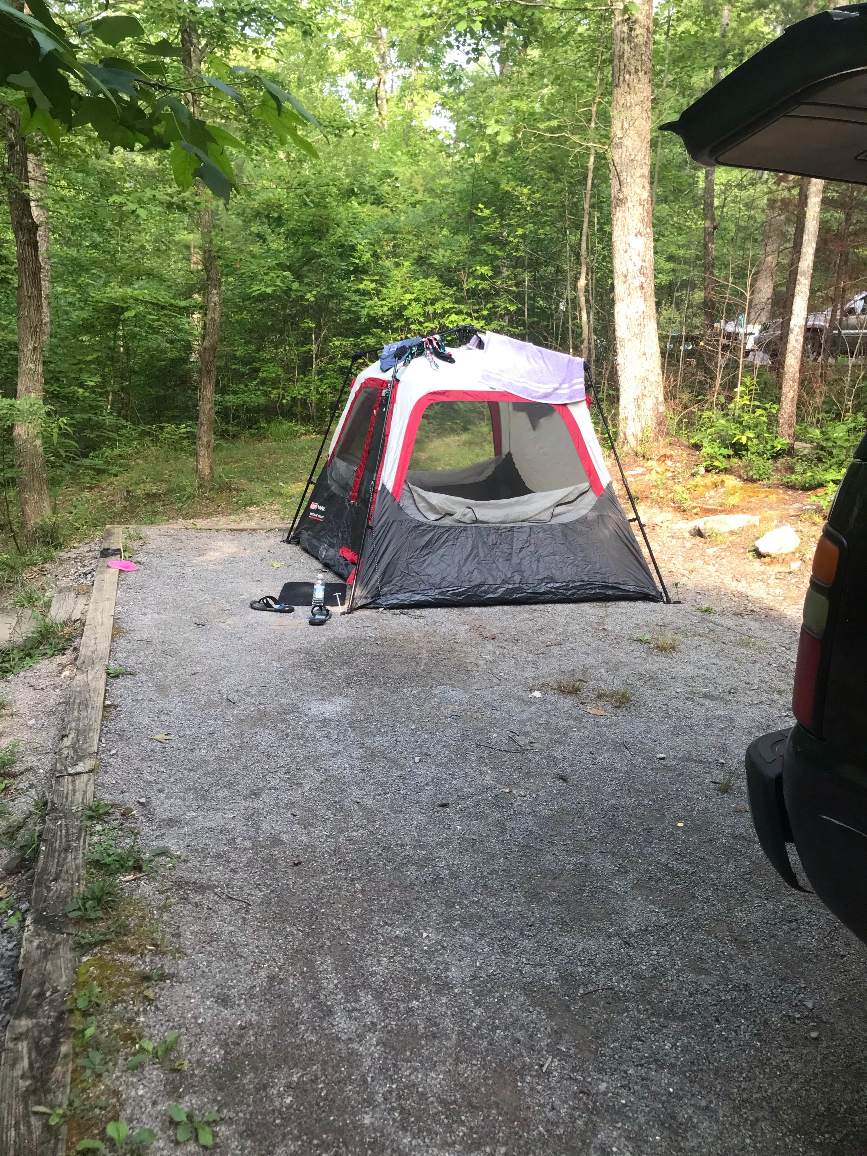 Heather W.'s photo at Chilhowee Recreation Area near Etowah, TN