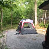 Review photo of Chilhowee Recreation Area by Heather W., July 3, 2019