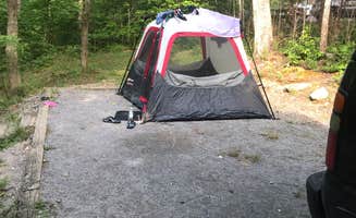 Heather W.'s photo at Chilhowee Recreation Area near Etowah, TN