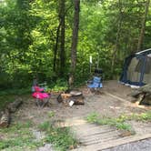 Review photo of Chilhowee Recreation Area by Heather W., July 3, 2019