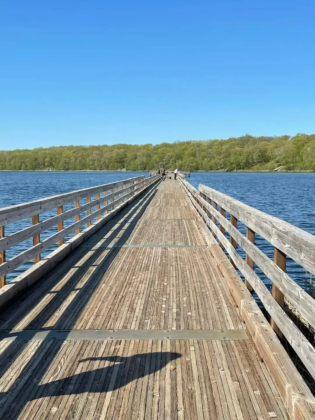 Camper-submitted photo at Dower Lake Recreation Area near Wadena, MN