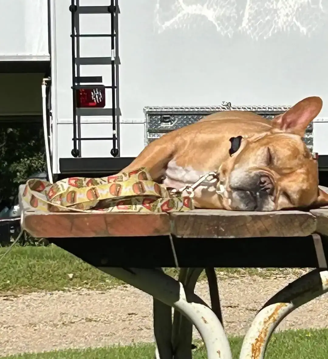 Camper-submitted photo at Oak Park Kampground near Alexandria, MN