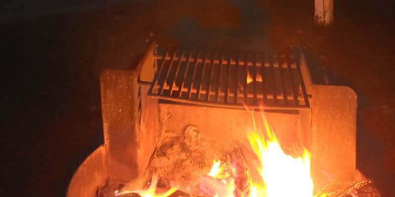 Camper submitted image from Sunnybrook Park