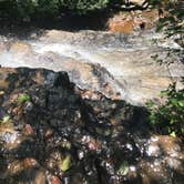 Review photo of Chilhowee Recreation Area by Heather W., July 3, 2019