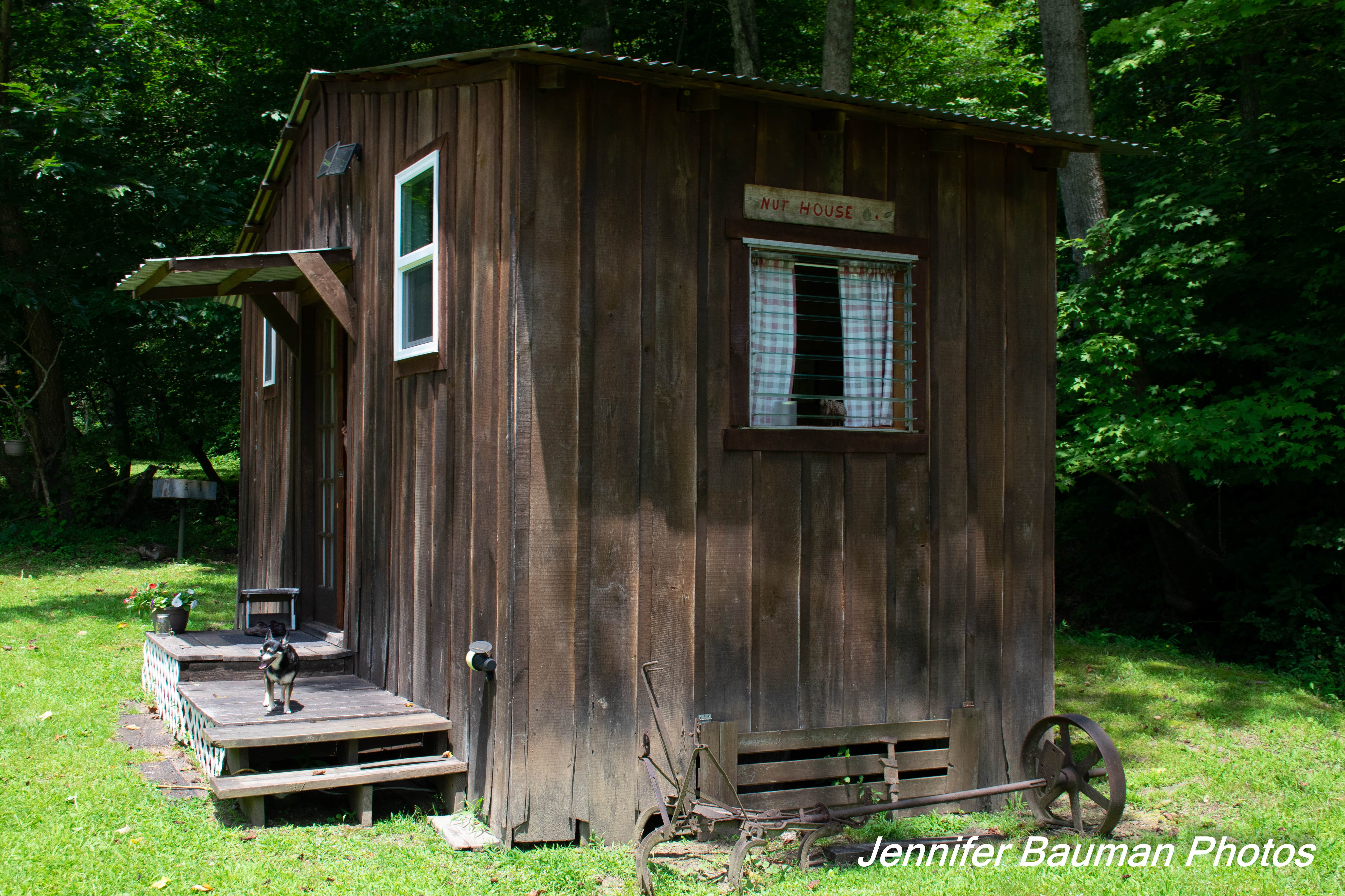 Camper submitted image from Tawney Farm - 2