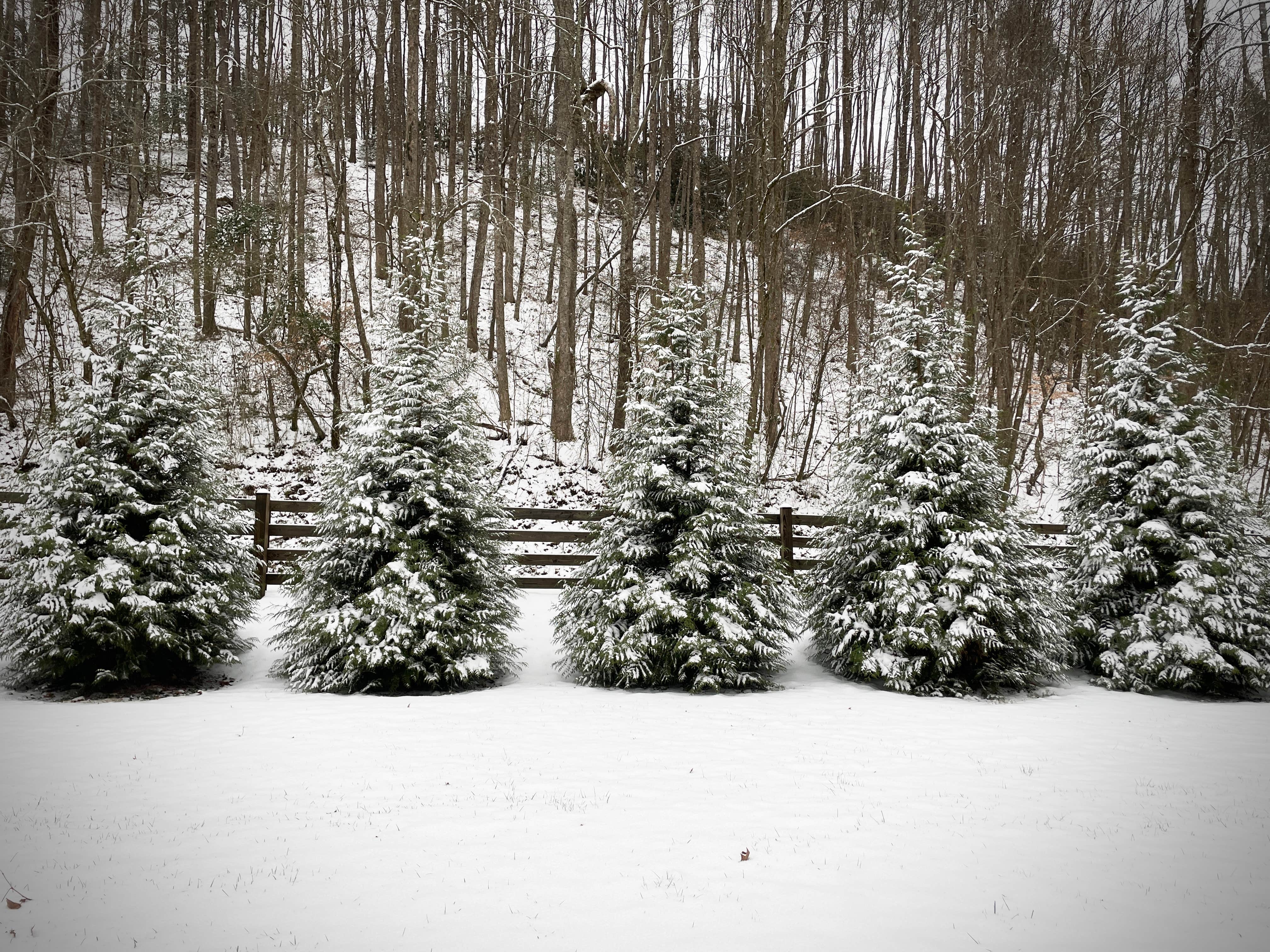 Camping near Valley River RV Resort: Peachtree Cove RV Park, Marble, North Carolina