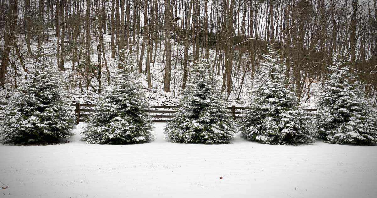 Peachtree Cove RV Park