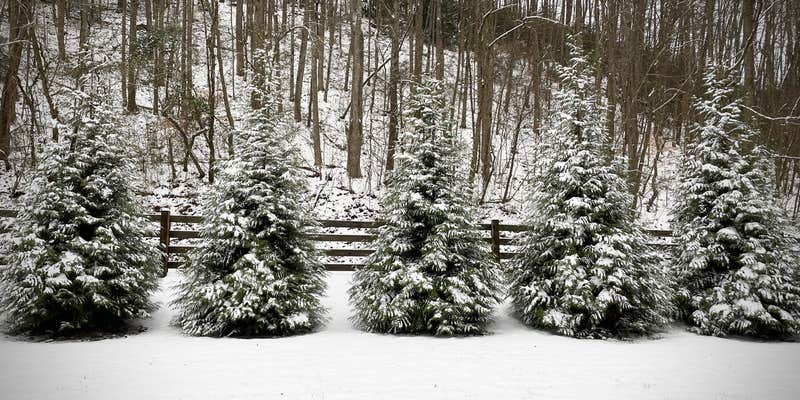 Camper submitted image from Peachtree Cove RV Park