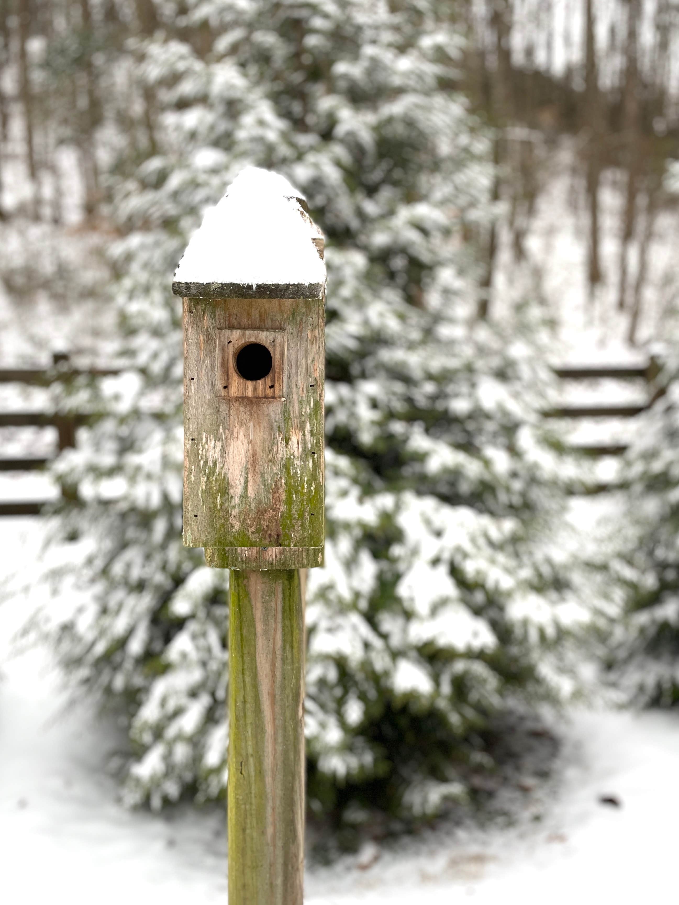 Camper-submitted photo at Peachtree Cove RV Park near Farner, TN